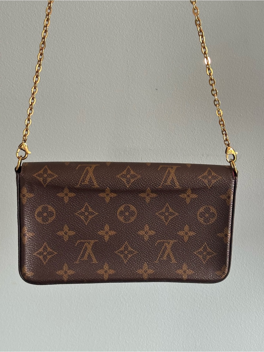 Louis Vuitton Monogram Pochette Félicie One Insert & dust bag - Picture 5 of 17